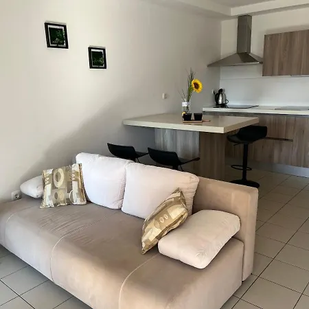 Apartment Goga *